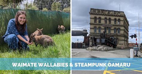 Wallabies in Waimate & Steampunk in Oamaru, NZ - Trailing Away