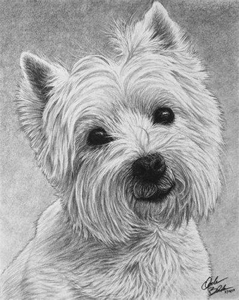 03-Charles-Black-Hyper-Realistic-Pencil-Drawings-of-Dogs-www-designstack-co.jpg ... - Hulya ...