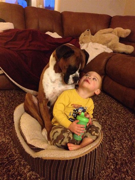 Boxers and Kids are a perfect match! R & Z | Boxer puppies, Boxer dogs, Boxer breed