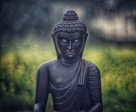 7 Places to Keep a Buddha Statue at Home