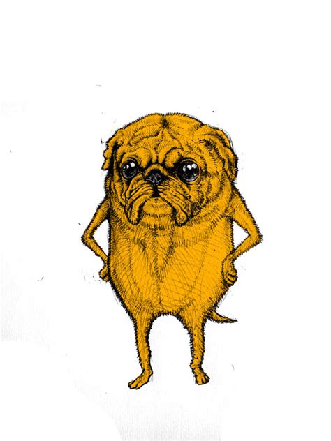 Jake the Dog by SimonSavage on DeviantArt