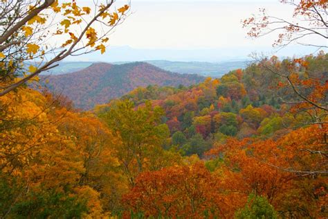 Fall Foliage in Virginia : Virginia Department of Forestry