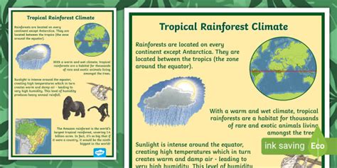 Tropical Rainforest Climate Display Poster (teacher made)