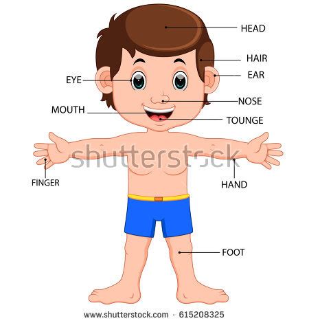 Parts Of The Body For Kids PNG Tagalog Transparent Parts Of The Body For Kids Tagalog.PNG Images ...