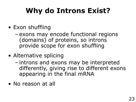 PPT - Part 7: Gene Structure and Function PowerPoint Presentation, free download - ID:3389469