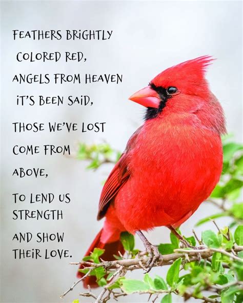 Red Cardinal Poster Printable Memorial Poem Printable Art | Etsy in ...