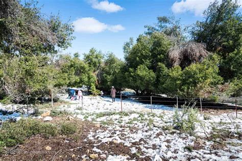 Snow on Mount Meron - Second-Highest Mountain in Israel