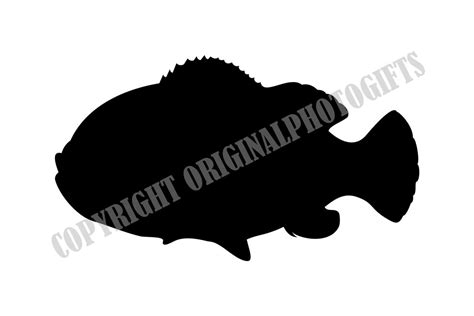 Grouper 1 Grouper Svg Grouper Clip Art Grouper Designs - Etsy