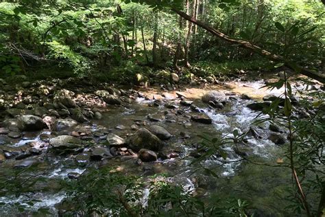 Gatlinburg Hiking Trails Bucket List - Campspot Camp Guide