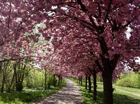 Seasons in Germany: Weather and Climate