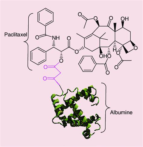 Structure of albumin-bound paclitaxel known as Abraxane R . | Download ...