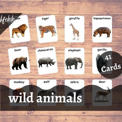 Wild Animals Chart By Miss And Chief Buy Wild Animals Chart By Miss ...