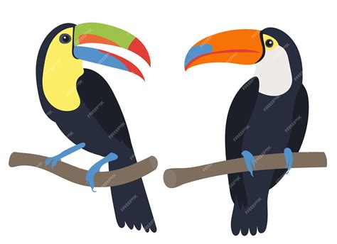 Premium Vector | Toucan on a branch flat design isolated on white background vector