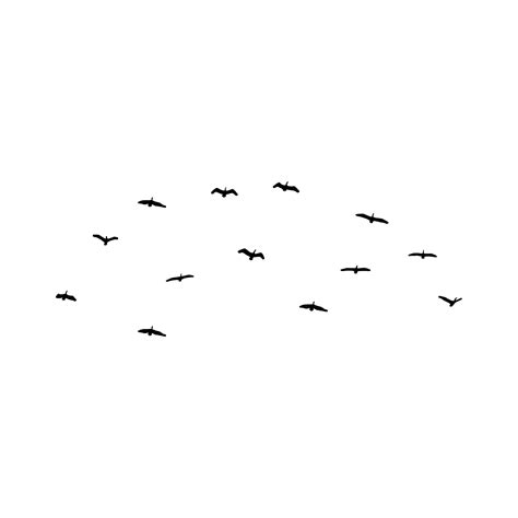 Black Flying Birds Vector Illustration, Flying Birds, Bird Vector ...