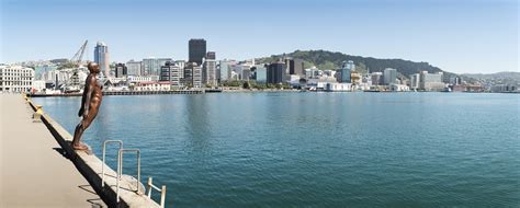 8 insider tips voor Wellington | TravelEssence