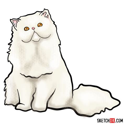 Cute Persian Cat Drawing - Pets Lovers