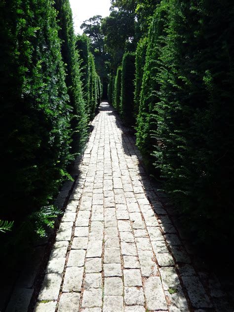 The garden at Avebury National Trust, Sidewalk, Structures, Garden ...