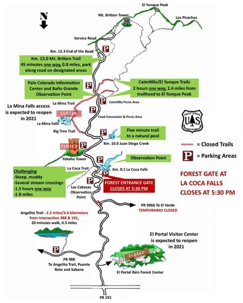 The Ultimate Guide to Visiting El Yunque National Forest in 2024 | El yunque national forest, El ...