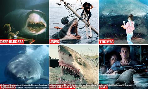 The Jaws Effect: How Shark movies are creating an 'excessive fear ...