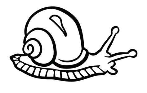 Snail Clipart Black And White