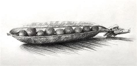 New drawing class "Peas in a Pod" by Phil Davies has just been added to ArtTutor, check it out ...