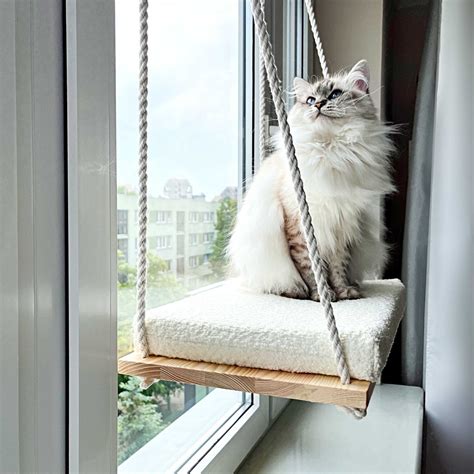 Cat Window Perch, Cat Hammock, Cat Window Bed, Wood Cat Shelves ...