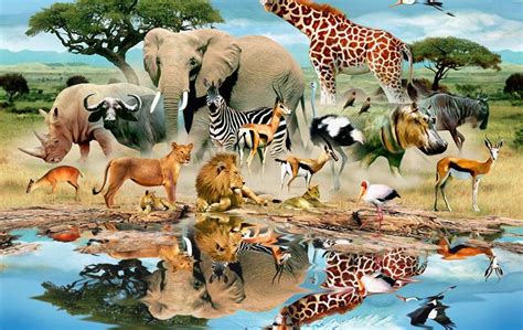 watering-hole-wildlife-mural.jpg | wildlife | Pinterest | Animal ...