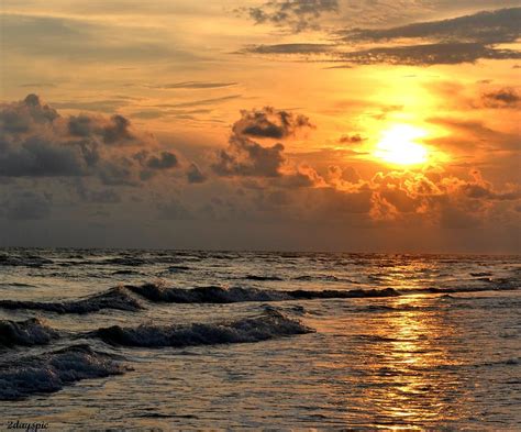 Siesta Key Sunset Photograph by Carolyn Mickulas - Fine Art America