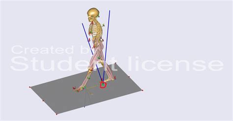 Force plate Autodetection for gait analysis containing two belt treadmills - Main Forum ...