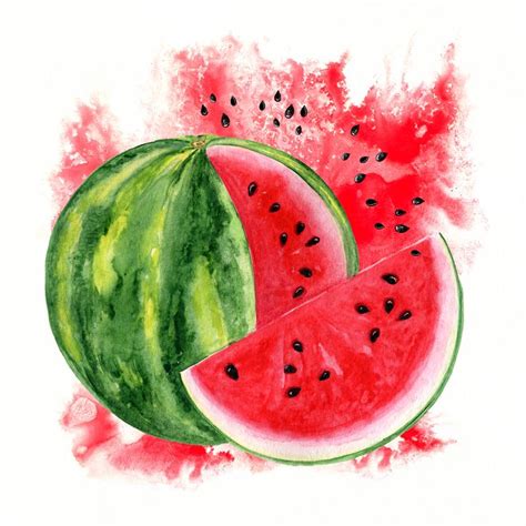 Watermelon Watercolor Clipart, Summer Clip Art, Food Home Decor, Кitchen Wall Print, Art ...