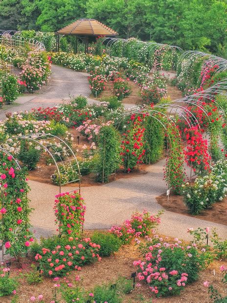 Flower Festival in Gifu Rose Garden:Rose Tower Magic | VISIT GIFU