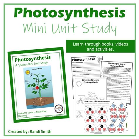 Photosynthesis | A Spring Mini Unit Study - peanut butter fish lessons