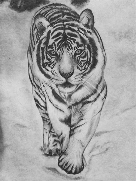 White tiger pencil drawing, done by Danielle Weingart | Artwork | Pinterest | Drawings and Artwork