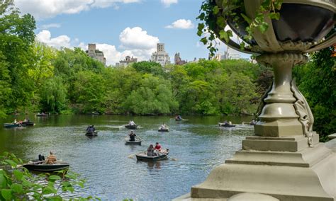 The Lake | Central Park Conservancy