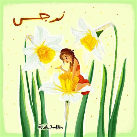 Narcissus/Daffodil - نرجس This flower is from the Narcissus species. In greek mythology ...