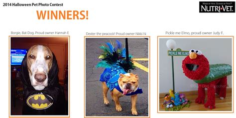 The Halloween Pet Photo Contest WINNERS! #Dog #FUN #Costumes | Pet ...