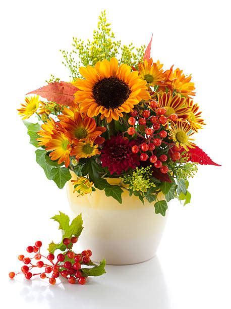 203,700+ Fall Flower Arrangement Stock Photos, Pictures & Royalty-Free Images - iStock