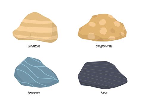 Illustration of sedimentary rock Sandstone, Conglomerate, Limestone and ...