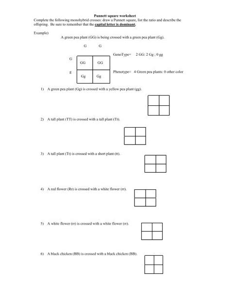 Punnett square worksheet