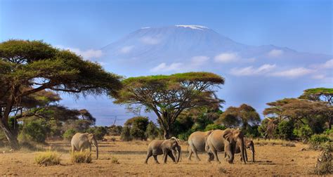 The 25 Most Beautiful Places in our Favourite African Destinations | Rhino Africa Blog