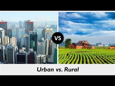 Comparative Essay On City Life Vs. Village Life – Telegraph