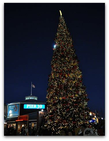 San Francisco Christmas Lights: 2024's Top Displays