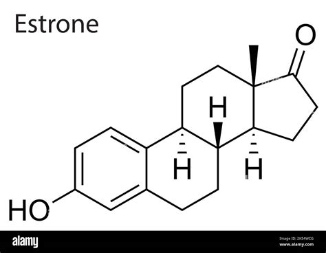 Vector file of the chemical and molecule structure of Estrone Stock Vector Image & Art - Alamy