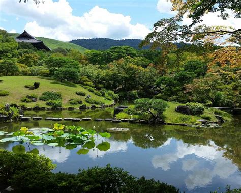 THE 15 BEST Things to Do in Nara (2024) - Must-See Attractions