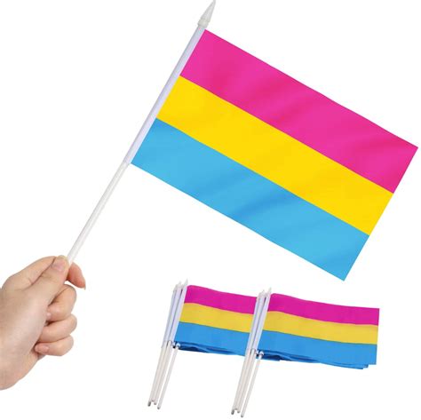 Anley Pansexual Pride Mini Flag 12 Pack - Hand Held Small Miniature Pan Pride Rainbow Flags on ...