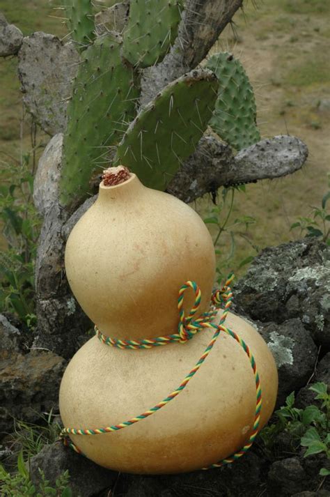 Crafts With Gourds: How To Make Water Canteens From Dried Gourds | Water canteen, How to make ...