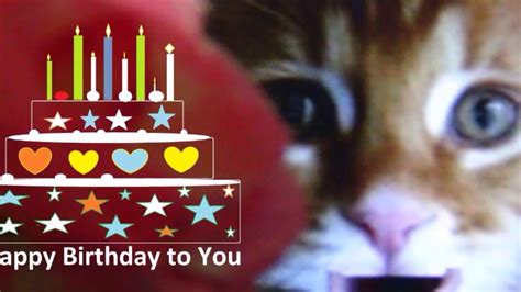 37+ Cat Singing Happy Birthday Song Download - Kentooz Site