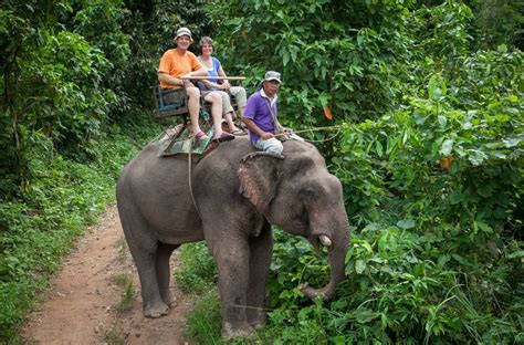 Thailand Journal – Chiang Rai, Stepping onto an Elephant - Niteo Tours