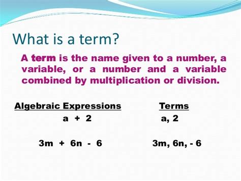 Algebraic expressions and terms