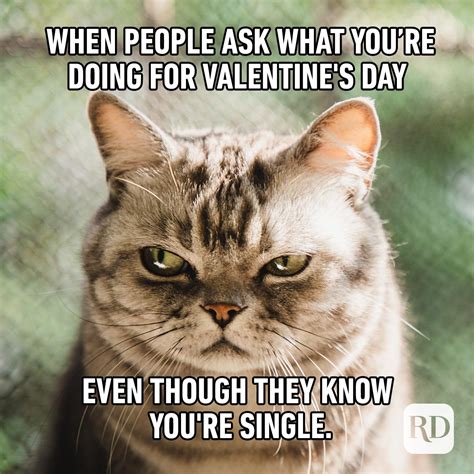 Funny Single Valentine Memes / Valentine's day is nearly upon us, which means love is in the air!